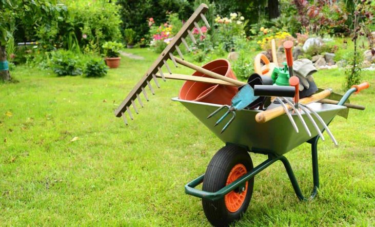 Responsável pelo orçamento de jardinagem? Conheça 10 maneiras para economizar!