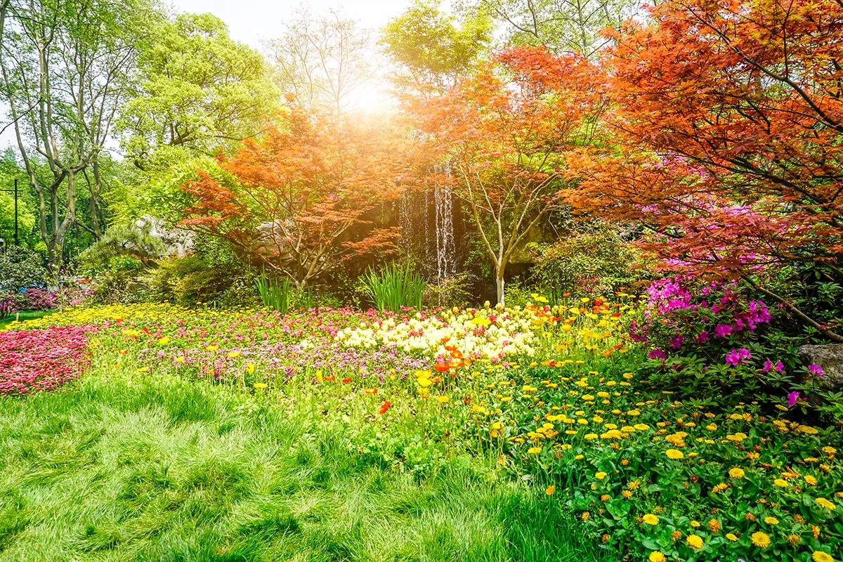6 dicas para ter seu jardim mais bonito na primavera