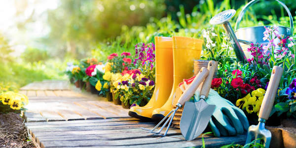 7 motivos de terceirizar o serviço de jardinagem em condomínios